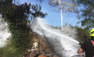 A firefighter extinguishing where the fire had spread to a hedge with foam, turning the brown, burned ground and nearby tree white. 
